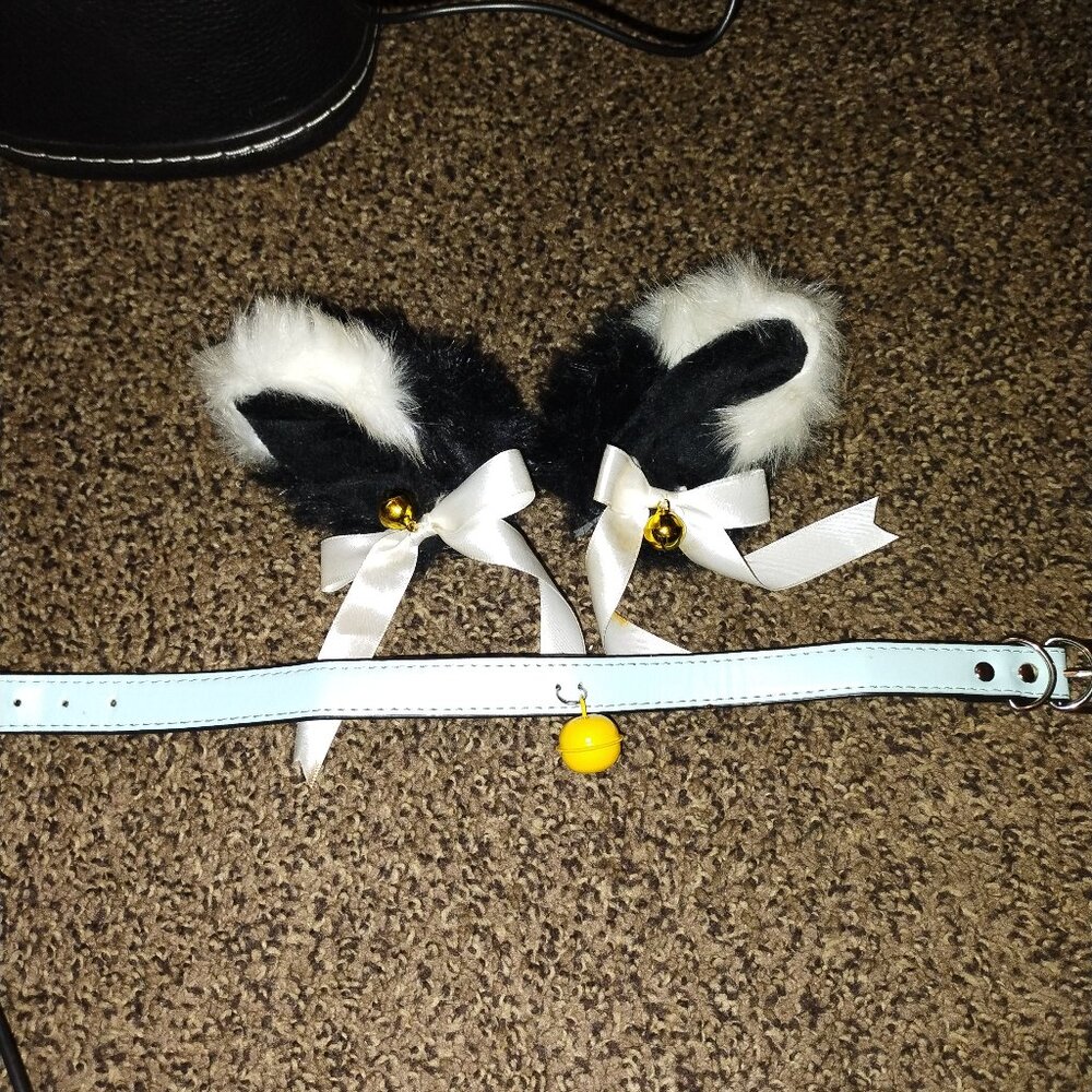 Black White Cat Ears + Baby Blue Collar (with bell!)